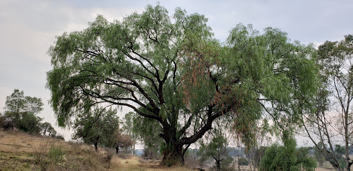 Santa Cruz el Porvenir
