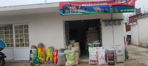 Tanhuixco, atempan