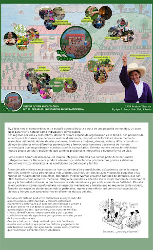 PIES AGILES TUZAMAPAN