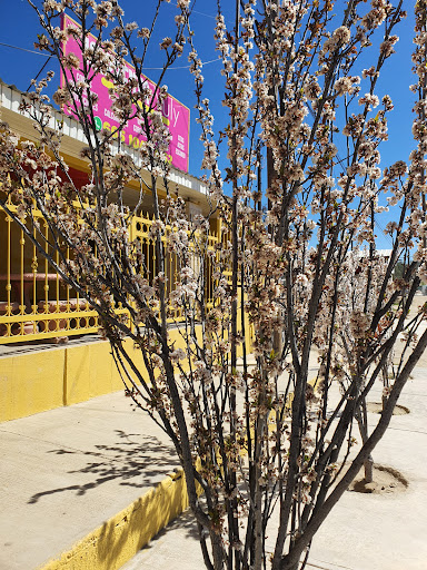 Panaderia Los Cabos
