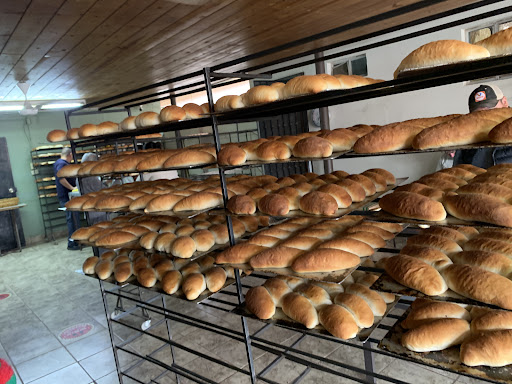 Panaderia Jacam y libreria Jared