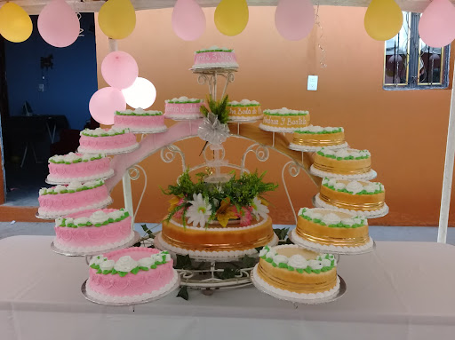 Pasteleria y reposteria rosy
