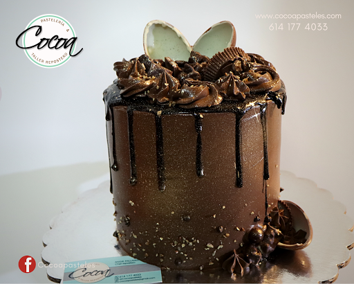Cocoa Pastelería & Taller repostero