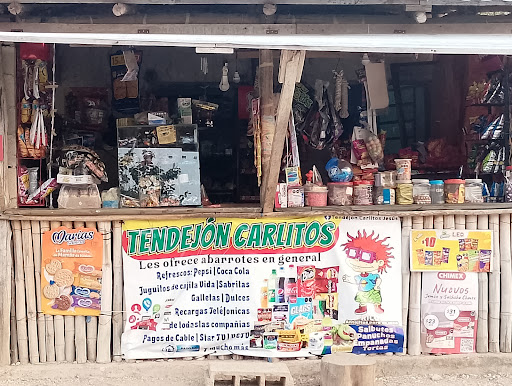 TENDEJON CARLITOS