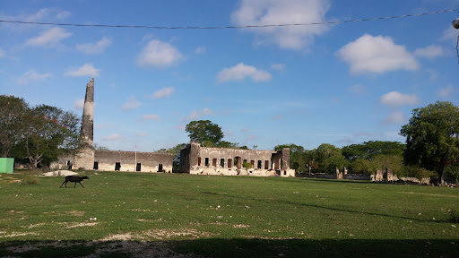 Kochol