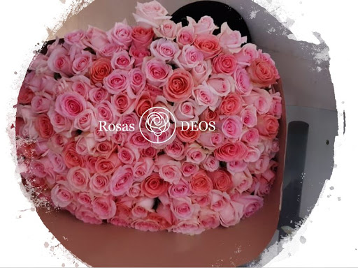El Organal "Tierra de Rosas"
