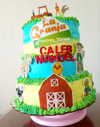 Pasteles Personalizados Postres YARISS Querétaro Qro.