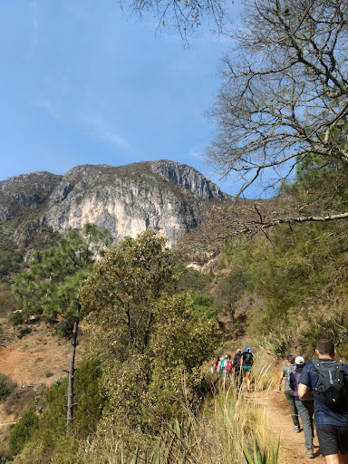 Mompaní