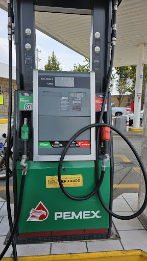 Gasolineria san Ildefonso 8300