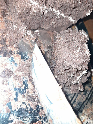 Pastelería Trebol