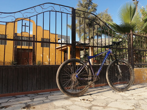 Sapioris