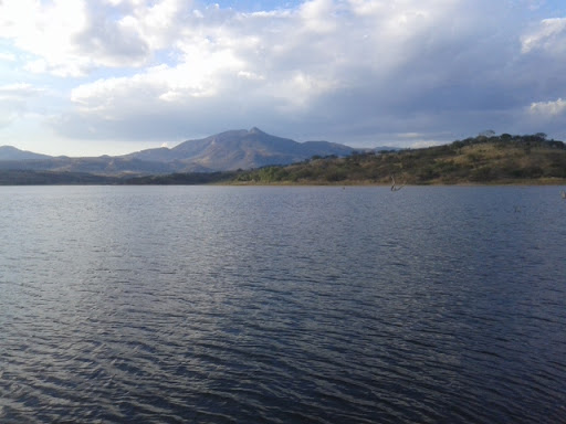 Presa El Pochote