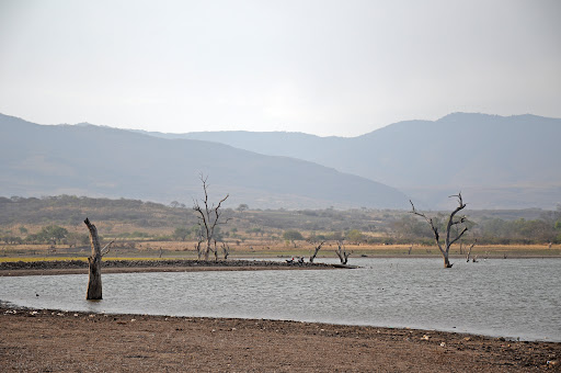 Presa del pochote