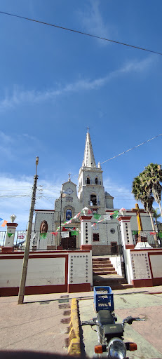 Guachinango