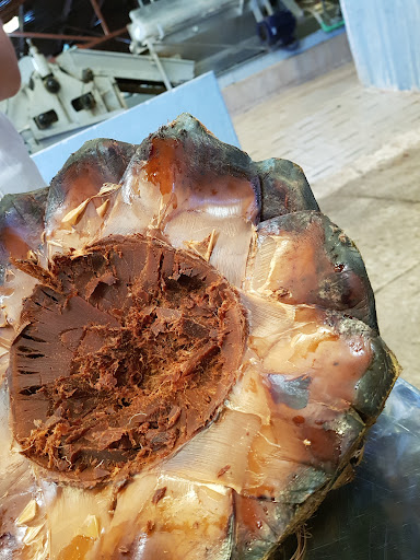 Fábrica de Tequila La Cofradía