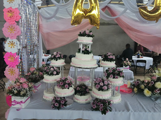 Pastelerías Elefante Rosa