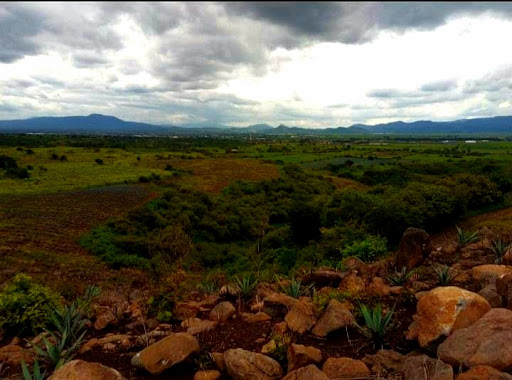 La Peña