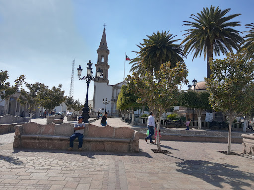 San Diego de Alejandría