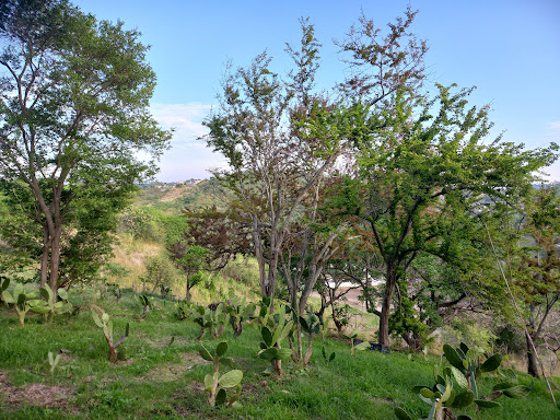 San Esteban