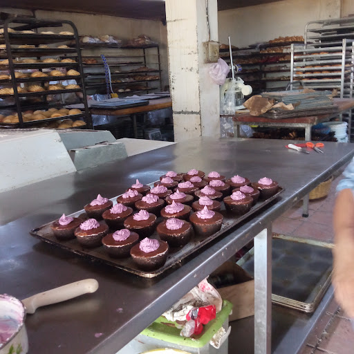 Panaderia Balta.