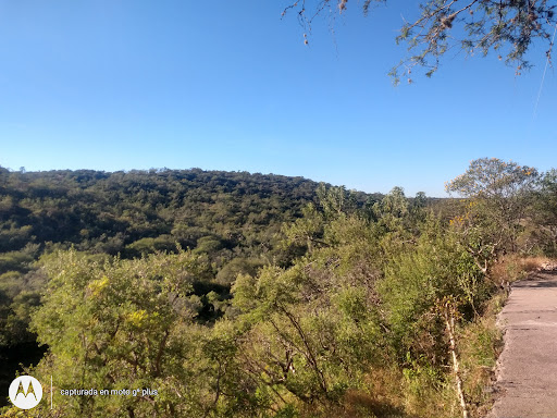 Canoas