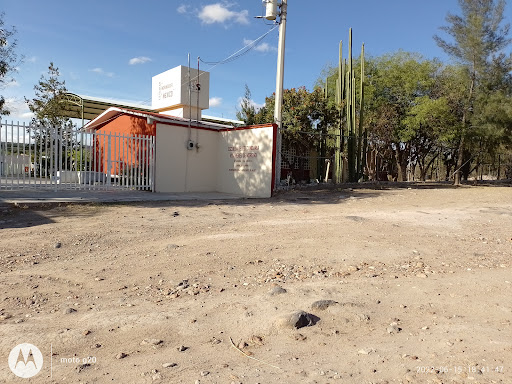 El Caquixtle De Arriba