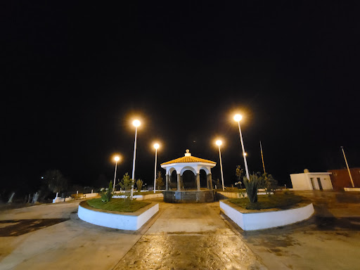 Chilacayote
