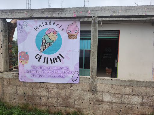 Heladería y Materias Primas OLILUMI