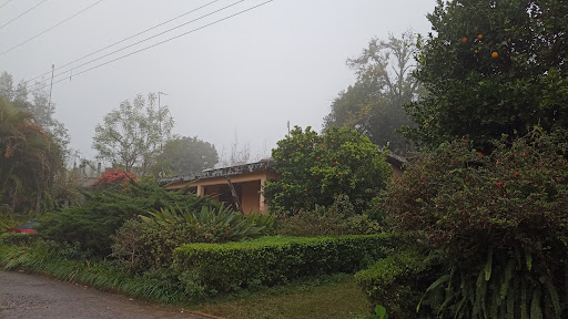 San Antonio Ocopetlatlán