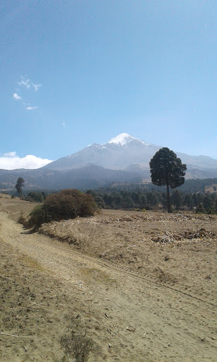 San Miguel Zoapan